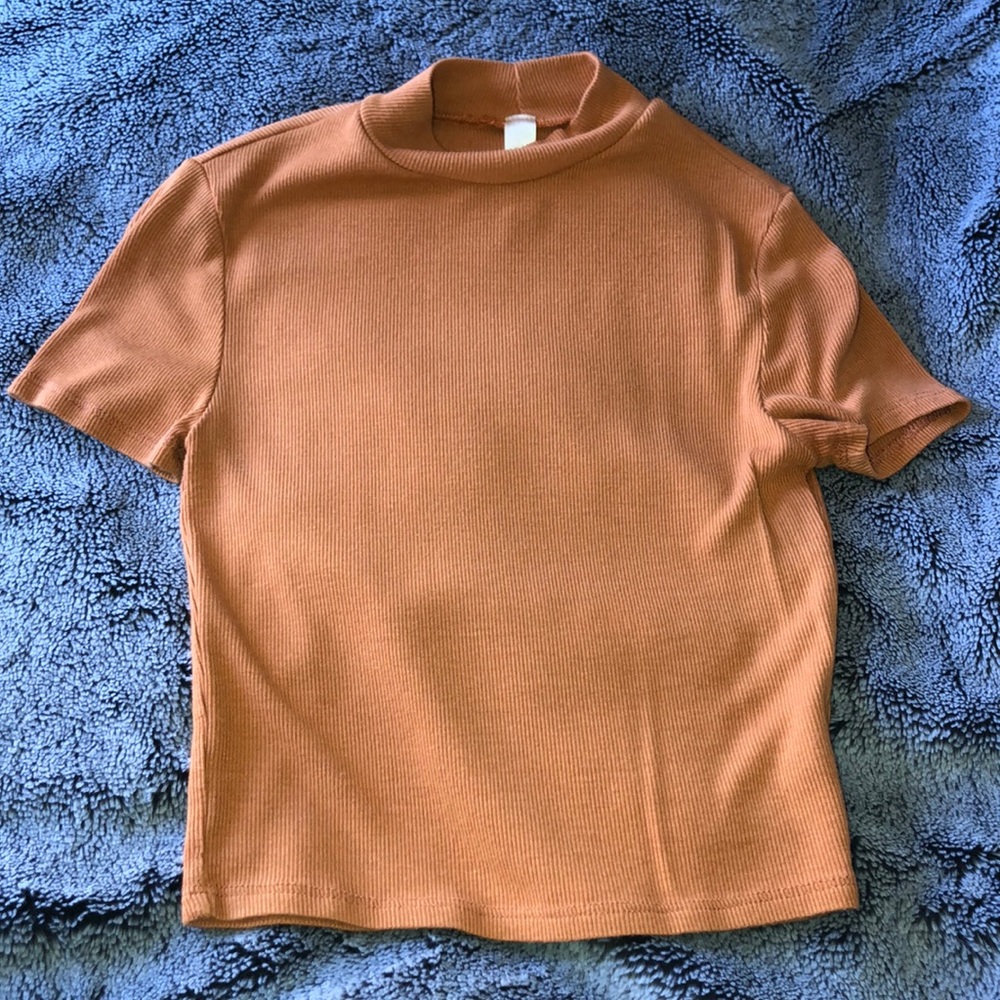 Turtle neck crop top